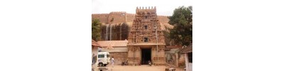 திருமயம்